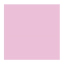 OLEO ROSA PERSIA 40ML