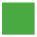 OLEO VERDE CLARO 40ML