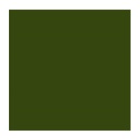 OLEO VERDE OLIVA 40ML