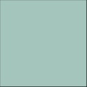 VERDE GRIS INT/EXT 50ML