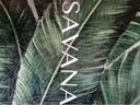 CATALOGO SAVANA