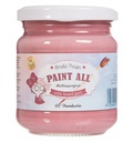 PAINT ALL FRAMBUESA 180ML