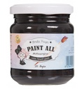 PAINT ALL NEGRO 180ML