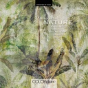 CATALOGO DREAMING OF NATURE 300X280M